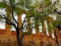 ssiA200アーモンドの花咲くアグリジェントの神殿の谷(目次)