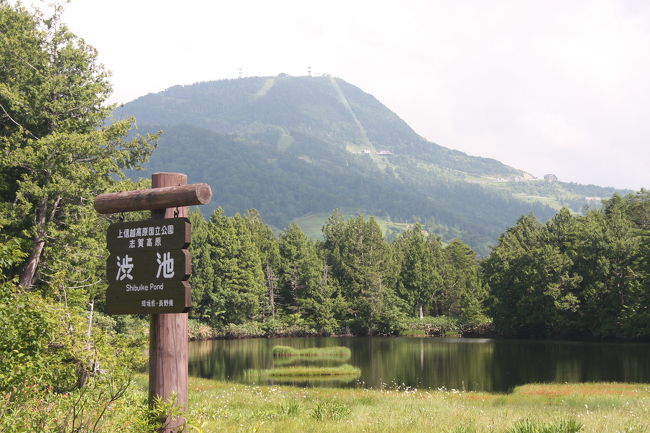 夏の山旅：志賀高原（前半）