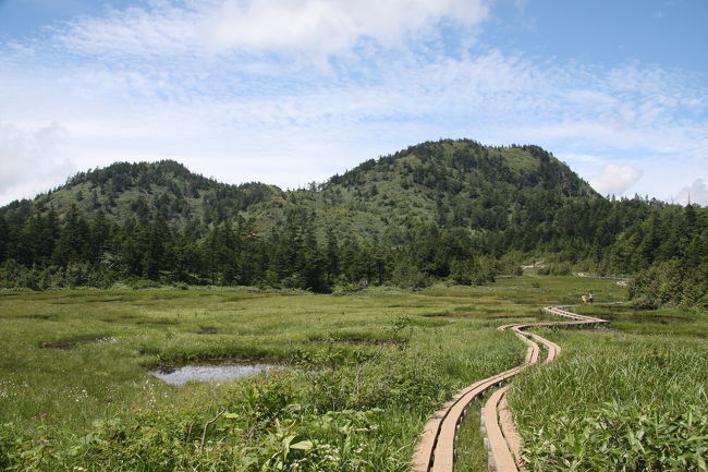 梅雨が明け、猛暑の中、高校時代の仲間１６名で志賀高原へ山旅に出掛けました。<br /><br />下界は３５℃を超える暑さ、志賀高原も少しは涼しいのですが、汗を拭きながらのトレッキングとなりました。<br /><br />後半のコースは次の通りです。<br />熊の湯８：５５発（バス）→渋峠（リフト）→横手山<br />横手山---草津峠---鉢山---四十八池---前山湿原---硯川---熊の湯<br /><br />思いのほかに階段の上り下りが多いコースで大変だったので、予定していた志賀山登山はパスしました。<br /><br />花の名前は良く分かりませんので、「花かおる志賀高原」というガイドブックを参考にしていますが、間違っていたら教えて下さい。<br />