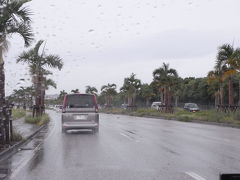 沖縄本島北へ南へ２０１０夏（１日目）～雨の沖縄に到着