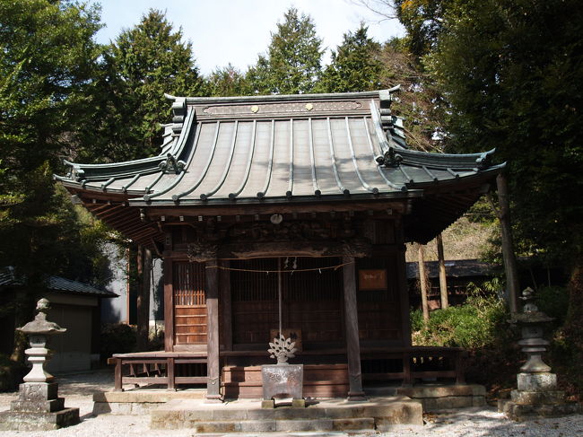 　小田原市入生田にある山神神社（さんしんじんじゃ）は大山祇命と木花咲耶姫命を祭神とし、林業や石切の仕事をする人たちが祀ったものという。長い石段を登った境内は鬱蒼たる照葉樹に覆われて薄暗い。その中に聳え立っている大きなイチョウの木が見事だ。本殿は銅屋根であり、石祠は幾つかある。中には軽石流堆積物でできた溶結凝灰岩の祠もあり、ヤマトハクチョウゴケが見られる。拝殿の右にある鳥居の奥にある石の祠は、江戸時代早川の流れが変化してなくなった後河原村の鎮守が移されてきたものという。また、境内に顔を出している溶結凝灰岩を観察することができる。  　<br />（表紙写真は山神神社本殿）