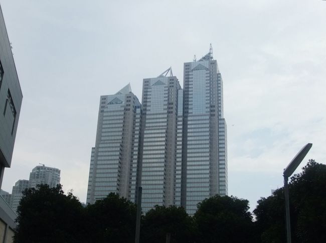 いままでコツコツと貯めたゴールドパスポートのポイントを利用しての宿泊です。<br />Wikipediaのパークハイアット東京に関する説明は<br />「大人の隠れ家というコンセプトのもと、客室を178室におさえきめ細かいサービスを実現・・・」<br />とあります。<br />期待と同時に少し緊張してむかいます。<br /><br />(表紙の写真は少し離れた新宿駅とは反対の西側から撮影しています)