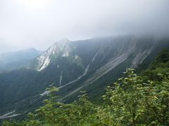 滝メグラー百名山に登る７　真夏の大山は花盛り