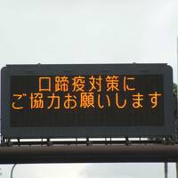 【出張、出張】がんばれ宮崎! どげんとせんといかん! 