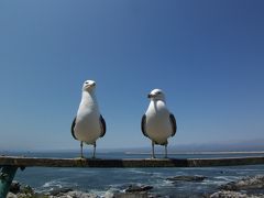 【青森】三内丸山遺跡・蕪島・種差海岸（2010.6）