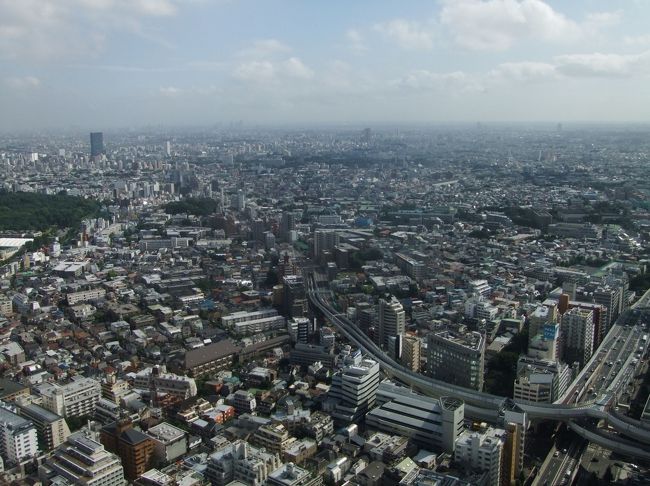 ハイアットゴールドパスポートのポイントにより宿泊したパークハイアット東京のバスルームと景色の旅行記です。