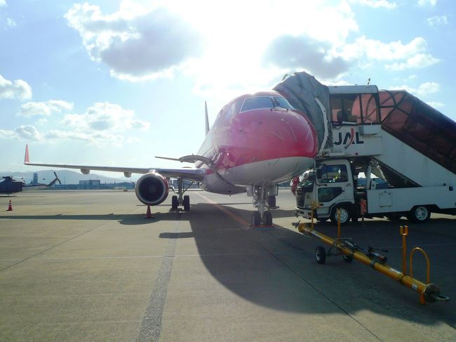 【表紙の写真】福岡空港に駐機中のFDAの機体<br /><br /><br />フジドリームエアラインズ<br />http://www.fujidreamairlines.com/<br /><br />静岡空港（富士山静岡空港）を拠点に、2009年7月23日より運航を開始した地域航空会社<br /><br /><br />静岡＝小松，静岡＝熊本，静岡＝鹿児島の３路線だったのが、<br />2010年4月1日静岡＝札幌線、静岡＝福岡線　就航<br />2010年6月1日松本＝札幌線、松本＝福岡線　就航 <br />元気な新興のエアラインです。<br />