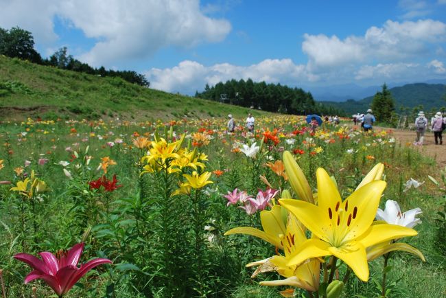 短い夏休みを利用し、癒しを求めて那須塩原のハンターマウンテンゆりパークへ。<br />帰りには、滝でマイナスイオンをたっぷり浴びてきました。