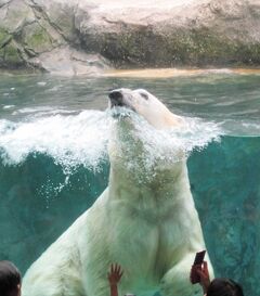 北海道周遊2009－２　知床・旭山動物園