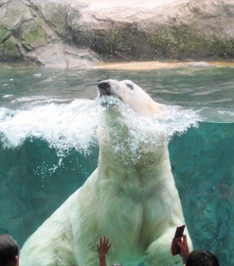 続きです。<br /><br />写真の枚数が多いので、<br />北海道旅行記を2つに分けました。