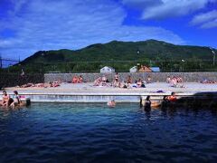 カムチャッカ雲上の花々と残雪の山6  パラトゥンカ温泉とペトロパブロフスクカムチャッキーの市場そして帰国へ　