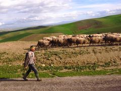 2010フランス～スペイン～モロッコ旅行　10 Tangier 民営長距離バスの旅