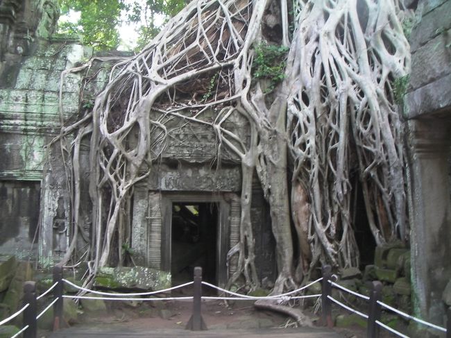 カンボジアとタイ旅(３)【タプロームとプノンバケン】