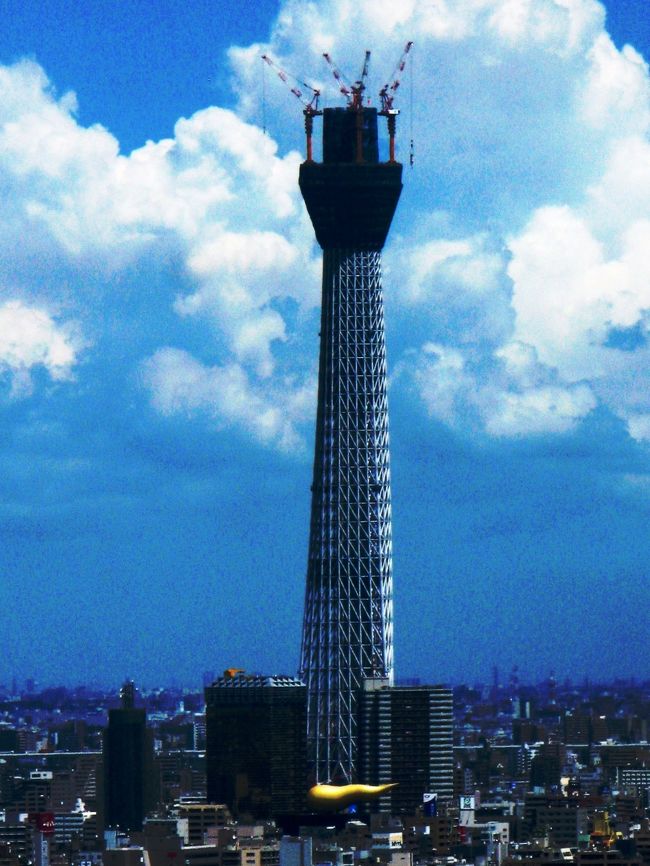 文京区役所25階からの大東京パノラマ　☆東京スカイツリー400ｍ超え<br /><br />文京区役所は、特別区である文京区の組織が入る役所である。庁舎の25階には展望室があり、無料で東京の景観を楽しむことができる。特に、新宿方向には高層ビル群と並んで富士山を望むことができる。<br /><br />本庁舎が入居する文京シビックセンターは、文京公会堂の跡地に1999年11月に竣工。地上28階・地下4階、高さ142m。東京23区の区役所の中では最も高い建物。 〒112-8555 東京都文京区春日一丁目16番21号 <br /><br />東京スカイツリーについては・・<br />http://www.skytree-obayashi.com/<br /><br />東京スカイツリー関係のトラックバック先は・・<br />http://4travel.jp/traveler/maki322/album/10463292/<br /><br />http://4travel.jp/tcs/t/tb/album/10463292/aa4c23d3d749f5436c7227e96af8317c<br />