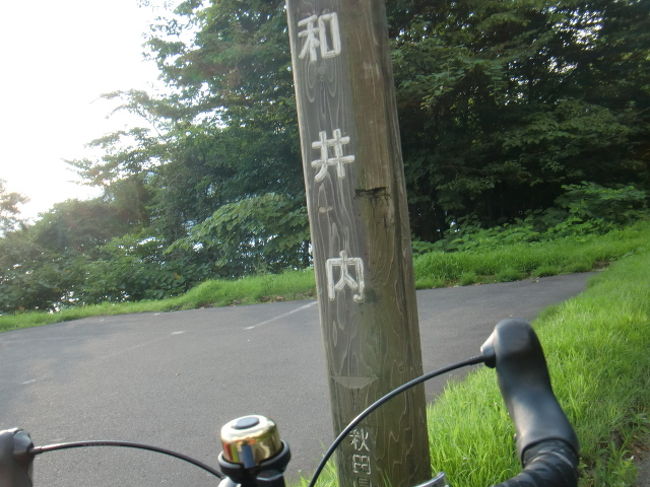 その昔私が小学生だった頃、国語の授業で「十和田のヒメマス」を習いました。和井内貞行という人が苦労に苦労を重ねて、ヒメマスの養殖に成功するという内容でした。他の授業なんか、ぜ〜んぶ忘れたのに印象的だったのでしょう。※この東北祭りの旅のスタートは:http://4travel.jp/traveler/arakiret/album/10485971/です。