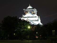 「大阪城」　～ライトアップ～