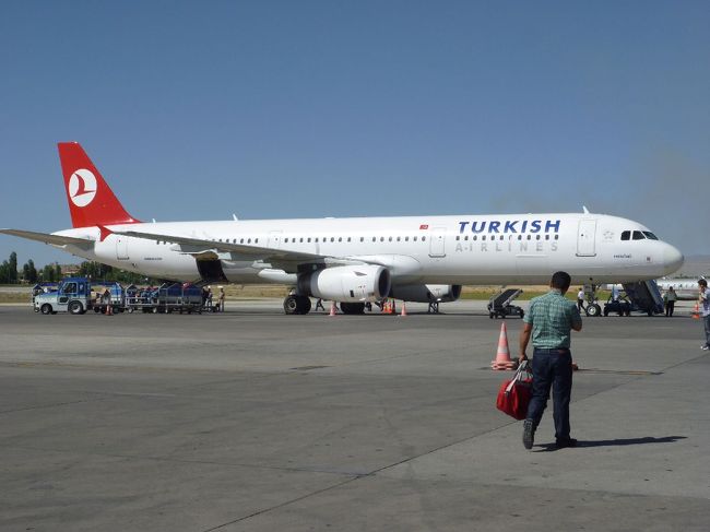 ６月に５歳になったばかりの娘を連れて家族でトルコへ。<br />一番の目的は、『ネムルート・ダーゥ』。<br />その他は行き当たりばったり。<br />ただ、日程も限られており、ワンからイスタンブールの航空券を予約しているのでそれに間に合えば・・・・<br /><br />7/24（土）<br />伊丹→［NH2176便］→成田→［TK51便］→イスタンブール夜着（泊）<br /><br />7/25（日）<br />イスタンブール朝発→［TK2216便］→アディヤマン午前着→キャフタ（泊） ＜ネムルート・ダーゥ現地日没ツアー参加＞<br /><br />7/26（月）<br />キャフタ朝発→シャンルウルファ午前着（泊）※移動は全てミニバス　＜ハラン、シャンルウルファ旧市街散策＞<br /><br />7/27（火）<br />シャンルウルファ午前発→［バス］→ディヤルバクル昼着（泊）＜ディヤルバクル旧市街散策＞<br /><br />7/28（水）<br />ディヤルバクル朝発→ハサンケイフ→ミディヤット→マルディン（泊）※移動は全てミニバス ＜ハサンケイフ、ミディヤット旧市街、マルディン旧市街散策＞<br /><br />7/29（木）<br />マルディン午前発→［ミニバス］→ディヤルバクル→［バス〈ワンへ〉］→（車中泊）＜ディヤルバクル旧市街散策＞<br /><br />7/30（金）<br />ワン（泊）＜アクダマル島、ワン城、ワン猫見学＞<br /><br />7/31（土）<br />ワン昼発→［TK2751便］→イスタンブール夕方着（泊）＜イスタンブール旧市街散策＞<br /><br />8/1 （日）<br />イスタンブール深夜発→［TK46便］→（機中泊）＜イスタンブール新市街、旧市街、オルタキョイ散策＞<br /><br />8/2 （月）<br />関空夕方着<br />
