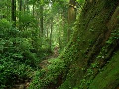 夏の高野三山を歩く～修行編～