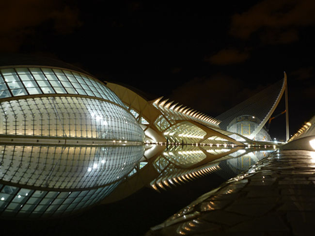 バルセロナ バレンシア マヨルカ周遊 本編 芸術科学都市バレンシアの夜景 バレンシア スペイン の旅行記 ブログ By Kanta21さん フォートラベル