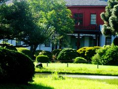 夏木立の小石川植物園で　☆世界最大の花咲いて*後の静寂