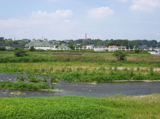 あの頃の夏休み・・・というか“僕の夏休み”ですね、あの頃の。<br />中学3年まで日野の多摩平というところに住んでいた。<br />少年時代、夏休みといえば“市民プール”へ通うのが日課だったような気がする。<br />家庭にエアコンが無かった時代、涼を求めて子供たちは工夫してた。