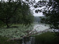 2010年夏　かもめ食堂ツアー