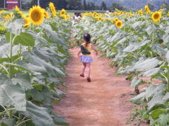 '10子連れ国内旅行　湯沢･津南編