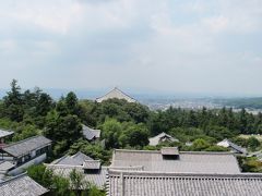 修学旅行以来の奈良。東大寺、法隆寺．．でも平城京跡は昔の修学旅行のコースにはありませんでした。