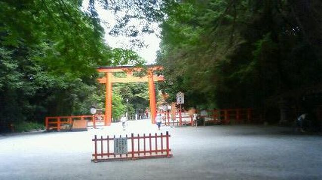 約１年ぶりに京都に行ってきました。<br />本当は今年の夏休みにはJALの特典航空券でソウルに行きたかったのですが、<br />さすがに時期的に予約が無理そうだったのであきらめて京都にしました。<br />学生時代を過ごした京都はなつかしくもあり、新鮮なこともあり。<br />未だにいつ行ってもいいところです。