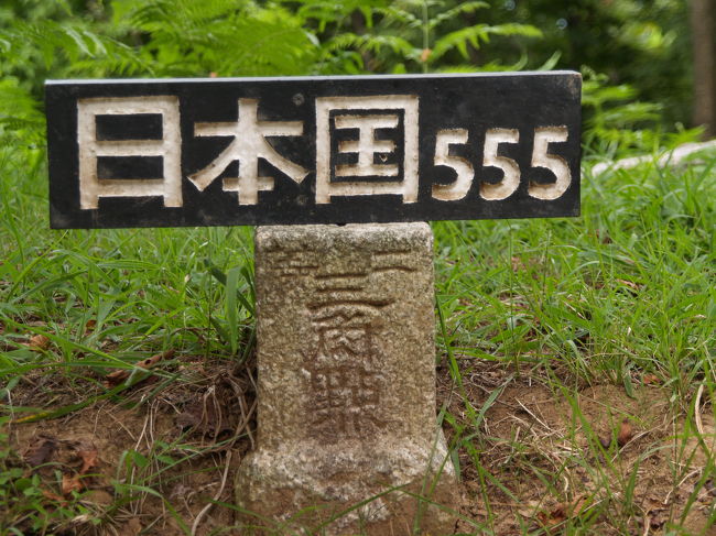 　新潟県と山形県との県境にある日本国は海抜555.4ｍの山であり、その高さが555mと、ぞろ目であることで知られている。中腹の沢の水場まではラジウム清水を汲みに何度も往復している。今回はいよいよ日本国の頂上を目指す日本国登山だ。<br />　小俣小学校跡地と中俣中学校跡地の日本国ふれあいパーク前にある小俣登山口から登頂する。炎天下で立っているだけで汗がほとばしる中、休み休みゆっくりと登った。山道でも風が通るところでは必ずと言って良いほど休憩しながら登った。登りに2時間も掛かり、下りは蔵王堂に降りたが山道で滑って転び、膝や腕を擦り剥いたために慎重に降り、1時間も掛かった。<br />　登り道は急なところもなく、赤松を始めとした枯れ木が多く立ち、注意しながら登ることになった。中腹からはブナの林となり、森林浴を楽しめたが、頂上に地元ライオンズクラブが白樺の木を植樹していたが、ブナ林に白樺は蛇足と言うべきだろう。暑さに閉口したが、季節の良い秋と春に登った大山や上醍醐と同じくらいにしんどかったが、本来は大したことはない登山であろう。3時間掛けて3人だけに出会った。鎌倉天園ハイキングコースであれば3時間も歩けば100人程度には出会うであろう。大して登山者がいなくても登山道はしっかりと残るものなのだと思った。<br />（表紙写真は日本国山頂の二等三角点）