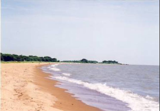 かつて日本兵が日本海と信じたハンカ湖 興凱湖 には悲しくも美しい伝説があります ウラジオストック ロシア の旅行記 ブログ By 哈桑湖 さん フォートラベル