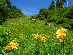 〔志賀＆草津〕キスゲと温泉を楽しむ旅（２）～東館山高山植物園＋横手山展望台＋湯釜