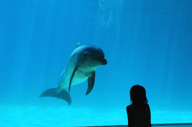 知多半島にある南知多ビーチランド<br />http://www.beachland.jp/<br /><br />子供のころから何度も訪れてる場所だけど<br />海の生き物とふれあえて大好きな場所<br /><br />大人になっても楽しい場所<br /><br />夏だから！　また行っちゃいました！<br />大人３人で・・・