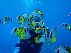 ロタ島～グアム　ダイビング２００８夏　ロタ島編