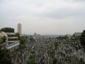 東神奈川・保土ヶ谷・弘明寺の旅行記