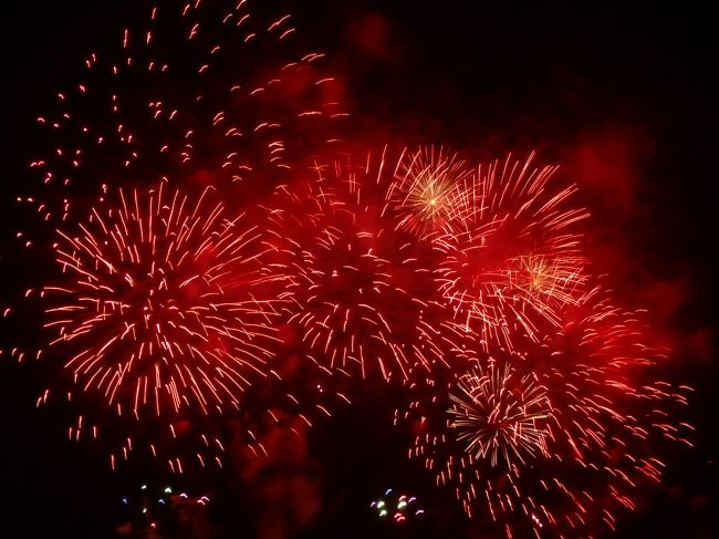 今年も暑い夏がやってきた！毎年多くの見物客を集める取手利根川大花火大会。家から見えることもあって撮影しに<br />河原まで出かけた事がなかった。とにかく他県からの人でごったがえす。<br />でも今年初めてちょっと行ってみようかなあ・・・と思い立ちコンデジ片手にお出かけ〜<br />花火モードがあるのだが、花火の撮影がこんなに難しいとは！タイミングが全然合わないよ。<br />結果８割方使い物にならず（泣）ほんのわずかに残った画像の中でまだマシなものを拾ってみた。<br />