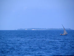 Maldives Aduu Atoll - Gaafu Atoll dive Safari @ Blue Shark 2 -　 Operated by BKS