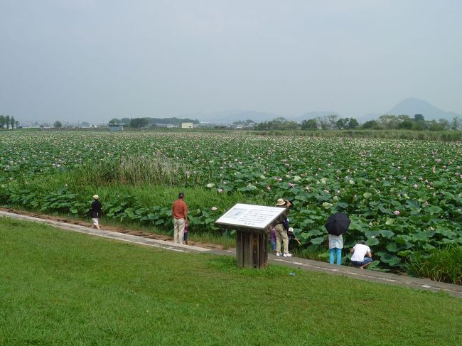 久しぶりに、滋賀県草津市へやってきました。<br /><br />3連休を利用し帰省するついでの「帰省ついで旅」です。<br />