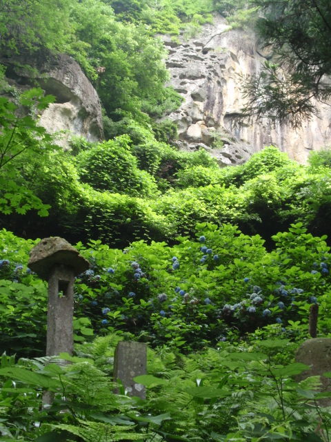 ７月末、急に思い立って、夫と長男と３人で山形の山寺と蔵王に行って来ました。<br /><br />長男が、蔵王の宿１泊と翌日のお蕎麦の食べ放題をプレゼントするというのです。<br />息子の気が変わらないうちに、もう１泊の宿は私たちが予約しました。<br /><br />なぜ、息子が蔵王に行きたがったかというと、その２週間前、一人で山形に行き、トレッキングをした後、おいしいお蕎麦の食べ歩きをしたらしいのです。<br />同じ日にお蕎麦屋さんのはしごをしたら、２軒目のお蕎麦屋さんがなんと、お蕎麦食べ放題！だったというのです。<br /><br />で、２軒目だったので、もうお腹もいっぱいで、もっと食べたいのに食べられないという、ちょっと悔しい思いをしたというのです。<br /><br />それで私たちを誘って、リベンジの旅に・・・！？<br /><br />それと昨年泊まった蔵王の宿の、「蔵王牛のすき焼き」の味が忘れられないらしい・・・<br />