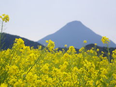 47都道府県制覇に向けて最期の地、鹿児島へ 指宿編