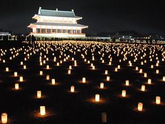 いにしへに思いを馳せて～　平城京に光が咲き乱れけり♪