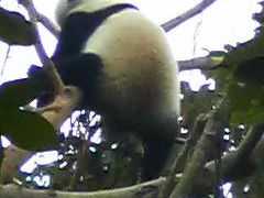 同級生と峨眉山＆成都周辺