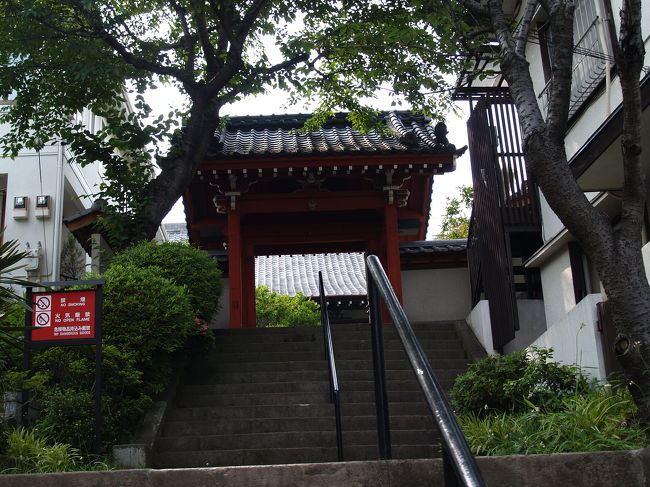 　東京目黒にある海福寺は黄檗宗の寺で、永寿山海福寺という。万治元年（1658年）明（みん）の帰化僧隠源（いんげん）禅師が江戸深川に開創した黄檗宗の寺であったが、明治43年にここに移転した。黄檗宗大本山萬福寺とは開山が同じで寺名も1字違いだ。本尊は釈迦牟尼仏で、他に四天王像や隠元禅師の像、木造阿弥陀如来立像（区指定文化財）が安置されている。<br />　朱塗りの山門（四脚門）は明治後期に新宿区上落合泰雲寺 にあったものを移建したものであるが、屋根には桃の実の飾り瓦が上がっている。また、梵鐘は天和（てんな）2年（1682年）に鋳造されたもので、東京都指定有形文化財（工芸品）に指定されている。<br />　石段横には「文化4年永代橋崩落横死者供養塔」（宝篋印塔が2基）が建っている。文化4年（1807年）深川富岡八幡宮大祭見物の人出のために永代橋が崩落し、440名が溺死する事故が起きた。この人たちを供養するためのものである。供養塔も寺と一緒に移設されたのだ。そういえば、今年の深川富岡八幡宮大祭ももうすぐだ。<br />（表紙写真は海福寺山門）　