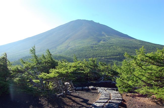 今年の夏も山中湖・河口湖を１泊で訪れた。<br />発端は、河口湖音楽祭のゲネプロの入場券（無料）を手に入れたので、昨夏に続いて山中湖のひまわりを見てこようと思った。天気が良ければ、２日目に富士スバルラインで富士５合目まで訪れる予定を組んだ。<br />果たして、天気もよく２日目の富士山は最高の姿を現してくれた。ただ、ひまわりの花々は天候異変（なにしろ暑い）の性か、少し残念だった。<br /><br />本編は２日目です。<br /><br />１日目　山中湖花の都公園、河口湖リリーパーク、河口湖ステラシアター<br />２日目　富士山スバルライン、河口湖美術館 <br /><br />１日目はこちら<br />http://4travel.jp/traveler/stakeshima/album/10492639/<br />