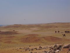 2010 JUL red sea ダイビング⑤　ギザ観光