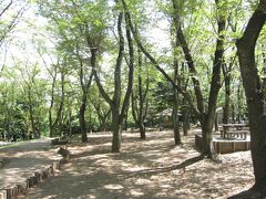 こども自然公園でバーべキュー横浜市旭区 8月/2010