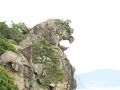 熊野のチカラ　５