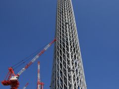 東京スカイツリー　順調に成長中！　ただ今　４２８ｍ　（８月３１日時点で４３８ｍまで伸びてます）