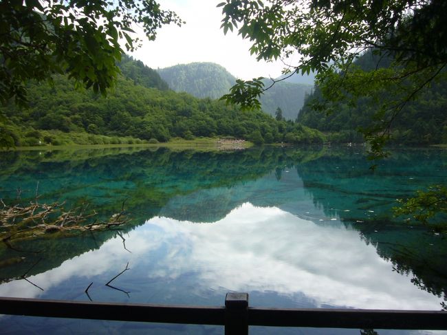 2010/8/14~22、北京に単身赴任中の主人と夏休みを過ごすために、久々に中国に行きました。今回は主人のマイレージを使って北京まで行き、北京から2泊3日で九寨溝・黄龍のツアーに行きました。<br /><br /> 本旅行記は「九寨溝・黄龍ツアー」編です。いよいよ九寨溝ハイキング。天候もやや曇り&晴れ。期待も高まります。朝8:00にホテルを出発し、専用シャトルバスで世界遺産・九寨溝の湖沼をめぐります。午前は日則溝景区、午後は則査窪溝景区と樹正溝景区を観光し、夜はオプショナルツアーでチベットショーを鑑賞しました。<br /><br /><br /><旅程>(◎はこの旅行記)<br /> 8/15(日)CA4122便(北京11:50発→九寨溝13:40着)で九寨溝へ<br /> 九寨溝着後、甲藩古城・甘海子散策をし、ホテルへ<br />◎8/16(月)九寨溝ハイキング<br /> 8/17(火)ホテル出発し川主寺経由黄龍へ、午後黄龍ハイキング<br /> 3U8897便(九寨溝21:35発→北京23:20着)で北京へ<br /><br /><宿泊><br /> 九寨溝シェラトン<br /><br /><費用><br /> ランド費:3600元/1名(宿泊、食事、送迎、入場料、現地ガイド)<br /> 航空券:行き2080元、帰り1880元<br /> 合計:7560元(約95,000円)