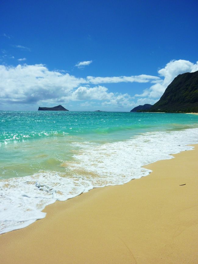 HONU TRAVEL ～Happy Hawaii～　pt.1　の続きです。<br />3日は天国の海と呼ばれるカネオヘのサンドバーのツアーへ。<br />キレイな景色はもちろん、<br />エイに会えたのが一番の感動＼(~o~)／<br />一緒に泳げて幸せでした。<br />4日目はカイルア方面へ…。<br />ラニカイビーチやカイルアビーチへ行き、<br />帰りにはハナウマ湾へ行き、<br />今回の旅の締めくくりに、HONUとまた出会えて<br />なんてラッキーだったんでしょう♪♪♪<br />新しい出来事がたくさんのハワイ旅でした(*^_^*)